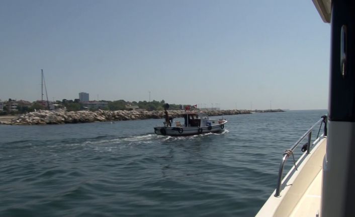 İstanbul İl Tarım ve Orman Müdürlüğü, midye avcılığını böyle denetliyor