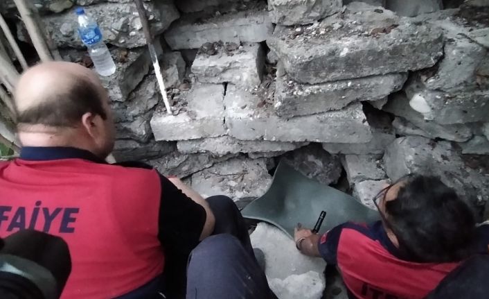 İtfaiyeciler taşların arasına düşen yavru köpekleri kurtarmak için 8 saat uğraştı