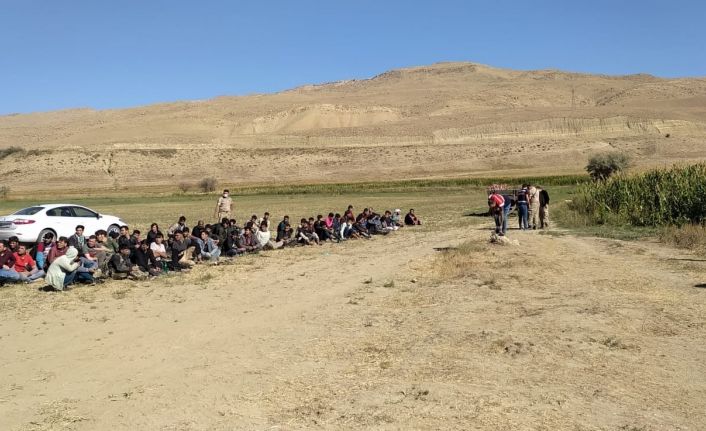 Jandarmanın operasyonunda 71 kaçak göçmen ile 2 organizatör yakalandı