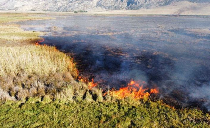 Karamık Gölü sazlık alanında yangın