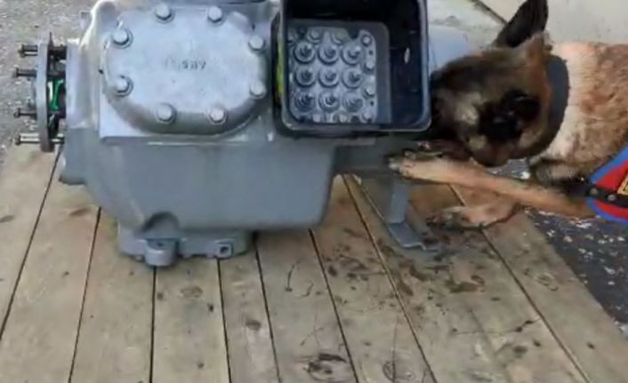 Kargoda uyuşturucu sevkiyatına jandarma engeli