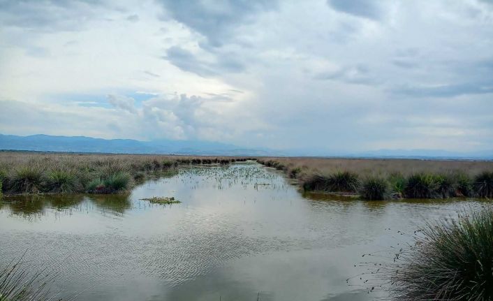 Kaymakamdan muhtarlara ’sulama suyu’ uyarısı: "Suyu fosur fosur akıtma devri bitti"