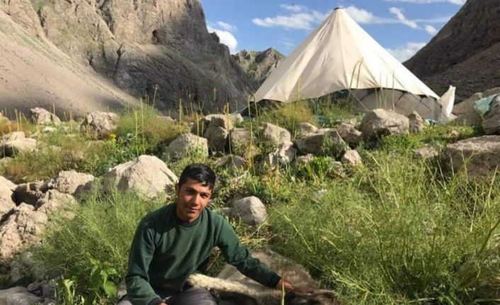 Koyunlara bakarken ders de çalıştı, hayalini kurduğu tıp fakültesini kazandı