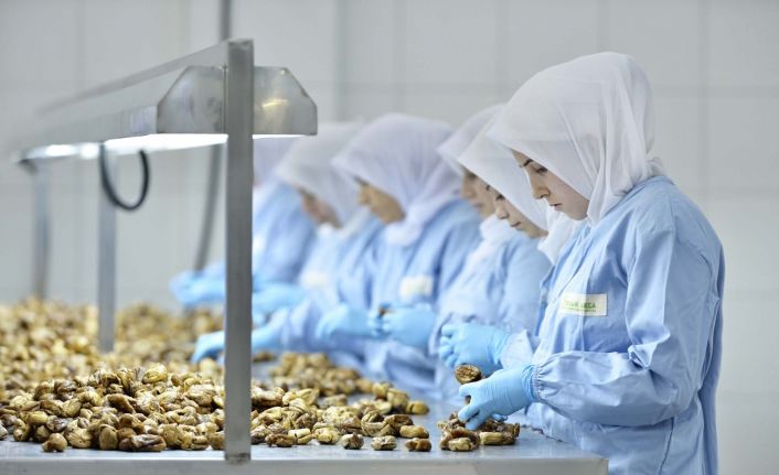 "Kuru incirin geleceği için sektör birlik ve beraberlik içinde olmalı”