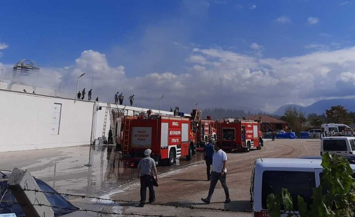 Kuruyemiş fabrikasında korkutan yangın