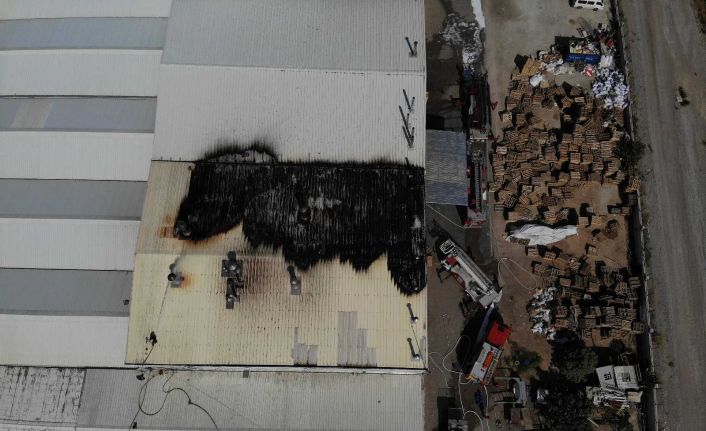 Kuruyemiş fabrikasını saran alevler kontrol altına alındı