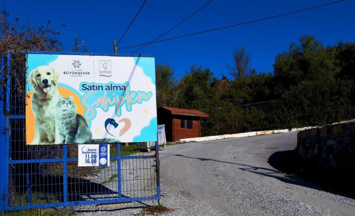 Kuşadası Belediyesi, 9 ayda 2 bin 95 can dosta ev sahipliği yaptı
