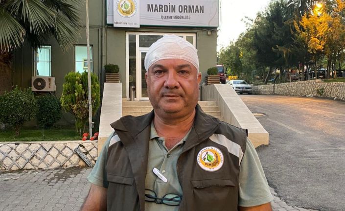 Mardin’de kaçak ağaç kesimi yapan kişiler, orman görevlilerini darp etti