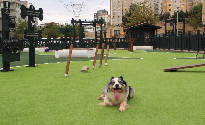 ‘Minik Dostlar’ hayvan parkı Ümraniye’de açıldı