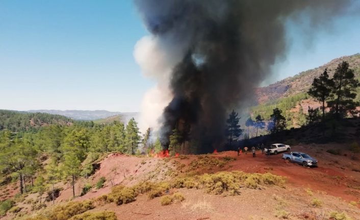 Muğla’da orman yangını