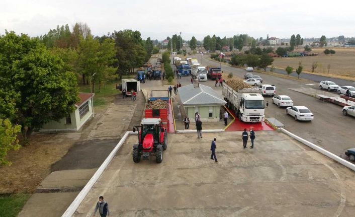 Muş’ta pancar alım kampanyası başladı