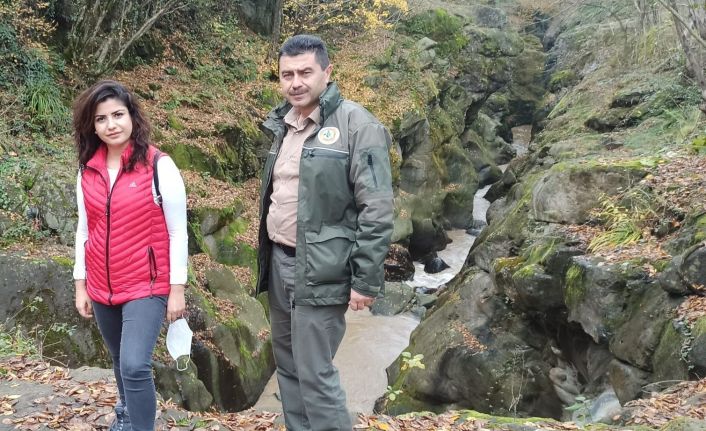 Orman İşletme Şefi Şen: “Bahçe temizliklerinde yakılan ateş orman yangınlarını arttırıyor”