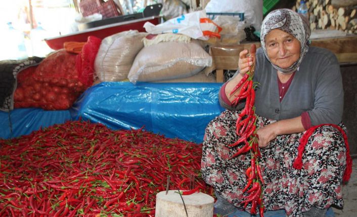 (ÖZEL) 152 yıldır aynı tohumdan acı kırmızı biber üretip kurutuyorlar