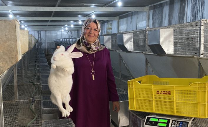 (ÖZEL) Emekli kadın polis hobi olarak başladığı tavşan üretiminde devlet desteğiyle büyüdü