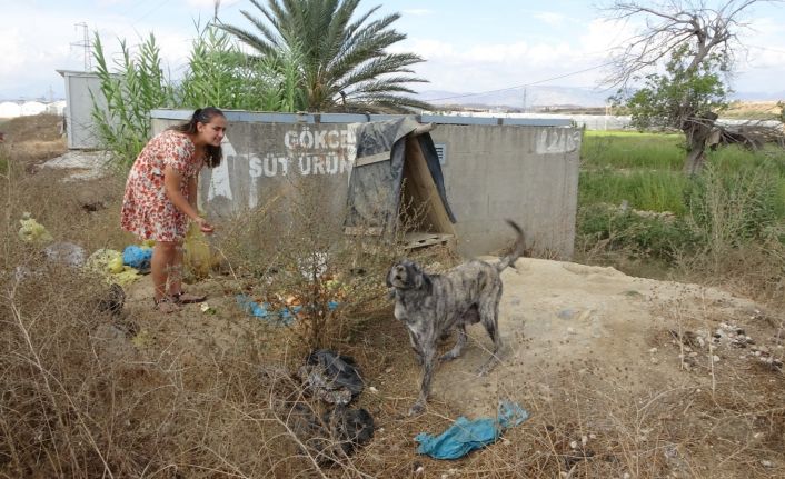 (ÖZEL) Garsonluk yaptıkları otelde çöpe atılan yemeklerle sokak köpeklerini besliyorlar