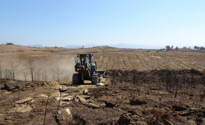 (Özel) Manavgat’ta yanan ormanlık alanlar iş makineleri tarafından dikime hazırlanıyor