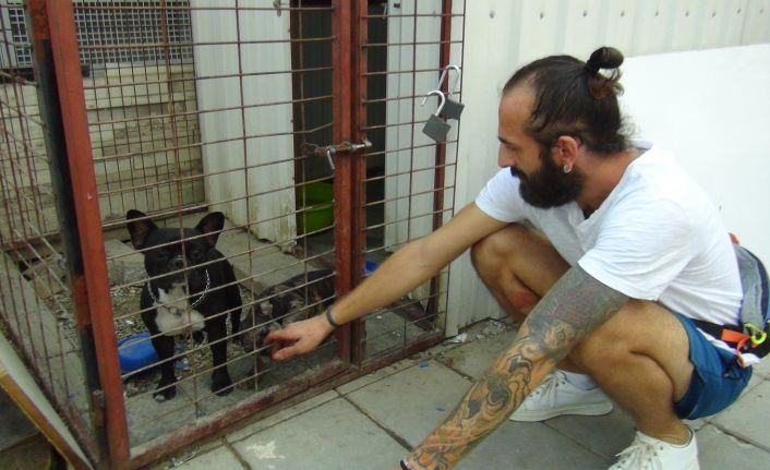 (ÖZEL) Özel kafesteki cins köpek yavrularını çalmakla bitiremedi, rahatlığı pes dedirtti
