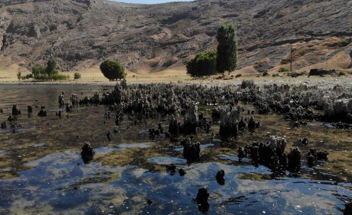 (Özel) Van Gölü’nün suyu çekildi binlerce yıllık mikrobiyalitler gün yüzüne çıktı