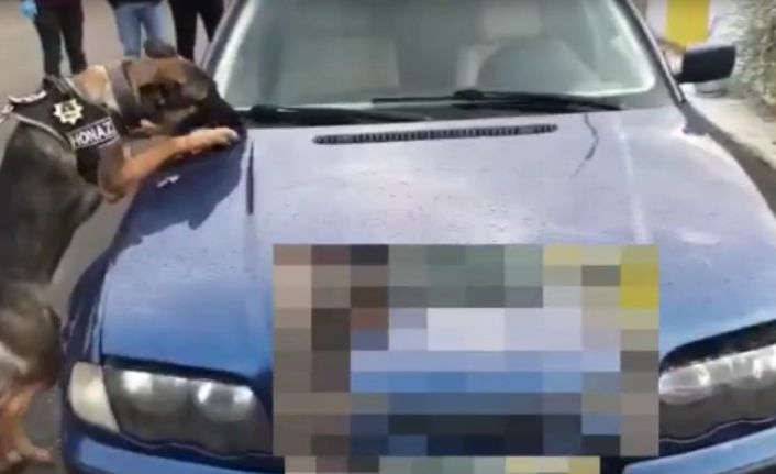 Piyasa değeri 1 milyon lirayı geçen uyuşturucu ele geçirildi