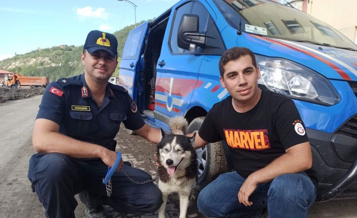 Selde hayatını kaybeden sahibine vefasını her gün evinin önüne gelerek gösteriyor