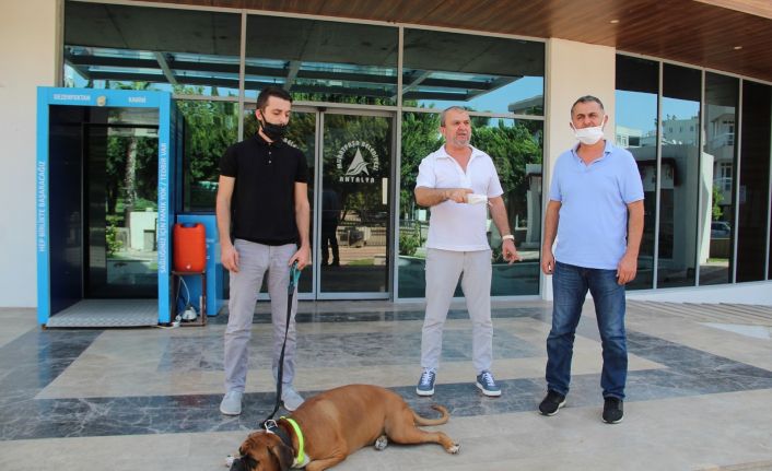 Site bahçesine köpek girmesinden çıkan kavgada yeni görüntüler ortaya çıktı