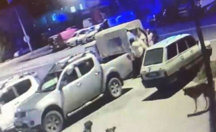 Sokak hayvanlarının kaybolduğunu fark ettiler, dedektif gibi kayıp köpeklerin izini sürdüler