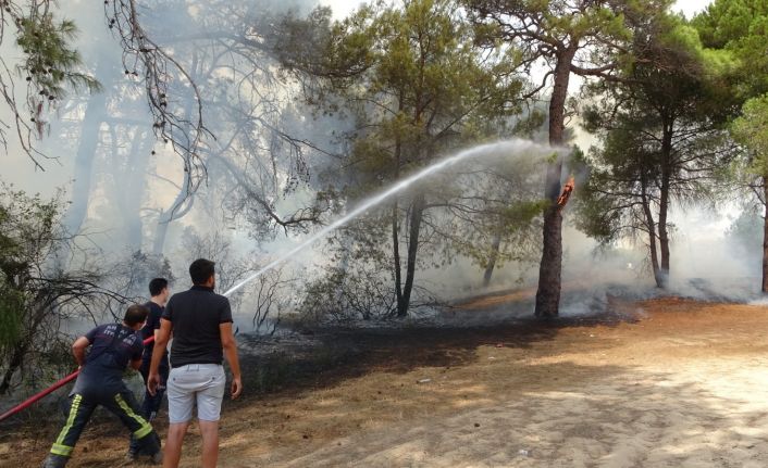 Sorgun Çamlığında çıkan yangında 1 dönüm ormanlık alan kül oldu