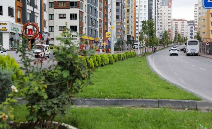 Talas’ta yollara önce refüj sonra ağaç