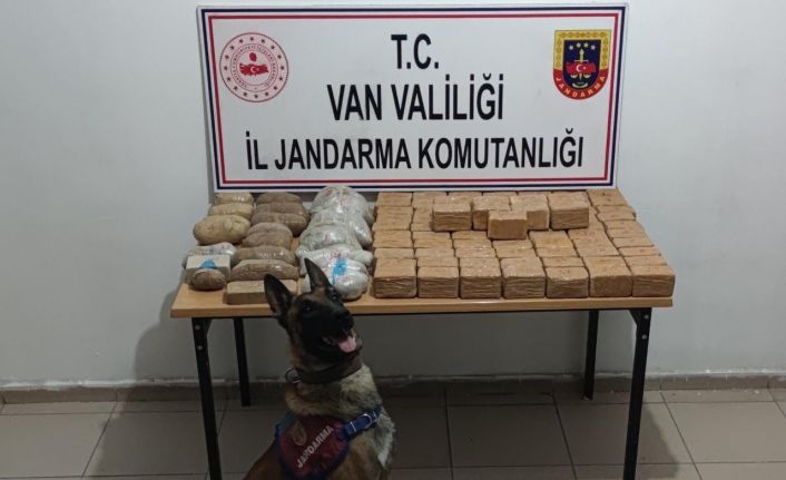 ‘Togo’ ile yapılan operasyonda 51 kilo eroin ele geçirildi