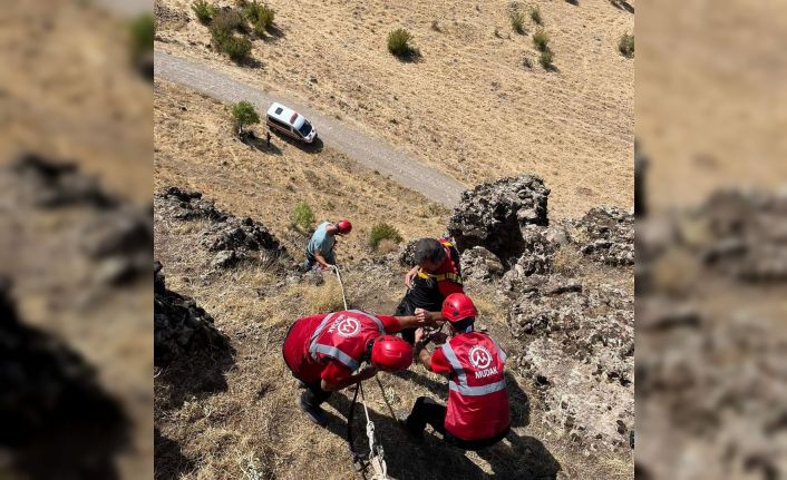 Tunceli’de kayalıklarda 3 gündür mahsur kalan hayvanlar kurtarıldı
