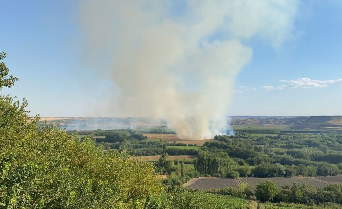UNESCO Dünya Mirası Listesi’nde yer alan Diyarbakır’daki 7 bin yıllık Hevsel Bahçeleri’nde yangın çıktı. Bölgeye sevk edilen itfaiye ekipleri yangına müdahale ediyor.