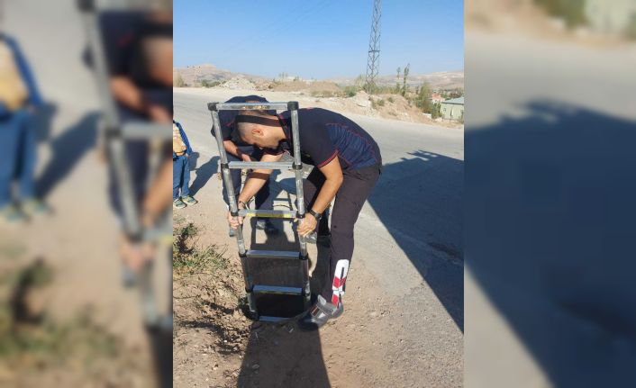 Yağmur suyu tahliye kuyusuna düşen kuzu kurtarıldı