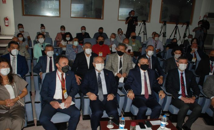 Yanan alanlar için 252 milyon fidan toprakla buluşacak