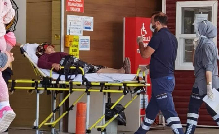 Yaşlı kadın köpeklerin saldırısına uğradı