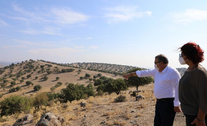 Yunusemre Belediyesi sokak hayvanları için rehabilitasyon merkezi kuruyor