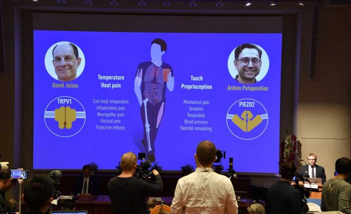 2021 Nobel Tıp Ödülü sahiplerini buldu