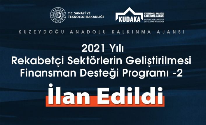 2021 yılı rekabetçi sektörlerin geliştirilmesi finansman desteği programı ilan edildi