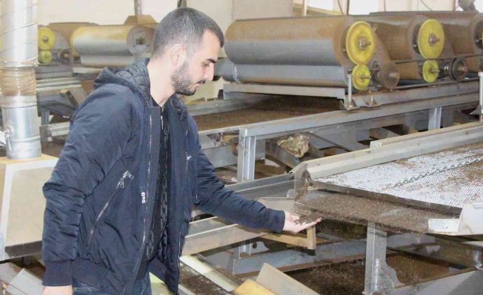 24 yaşındaki fabrika sahibi Yasin Sönmez: "Gençlerimizin en büyük problemi iş beğenmeme"