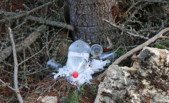 4 hektarlık alanın kül olduğu ormanda pet, cam şişe ve poşet atıkları