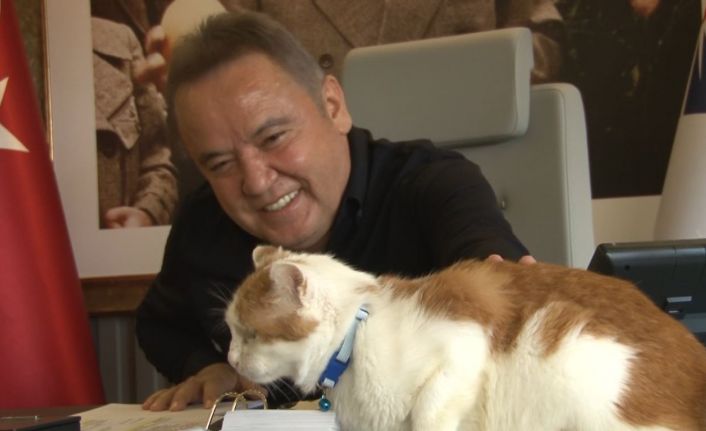 58’inci Antalya Altın Portakal Film Festivalinin akrediteli maskotu ’Toros’