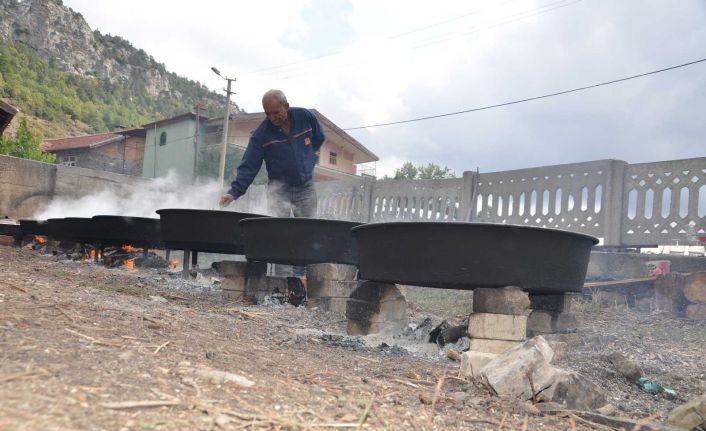 Antalya’nın Toros Dağları’ndan sofralara uzanan şifalı lezzet ”Andız Pekmezi”