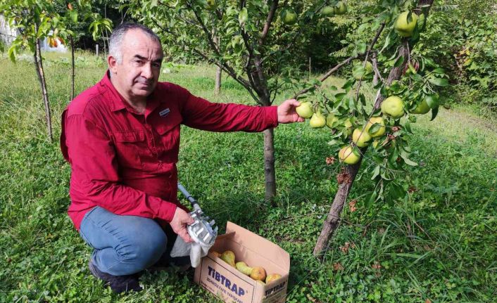 Arazisini şehitlerin anısına meyve bahçesine çevirdi ilk hasadı ise şehit ailelerine gönderdi