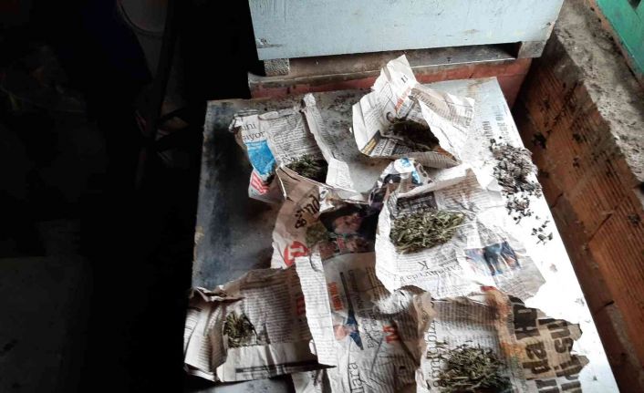 Arı kovanlarına zulalanan uyuşturucu paketleri jandarmanın dikkatinden kaçmadı