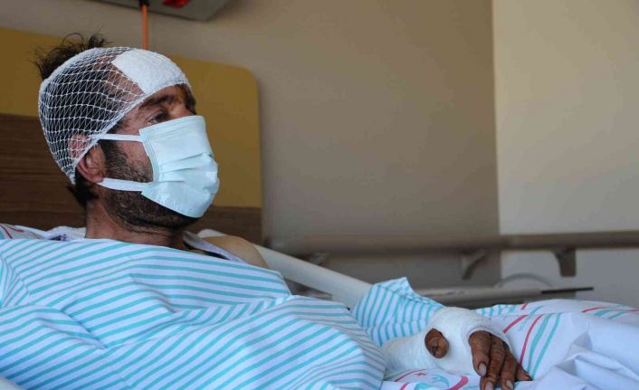 Ayı saldırısı sonucu hastanelik olan şahıs, dehşet anlarını anlattı: "O korkuyla 5 kilometre yol yürümüşüm"