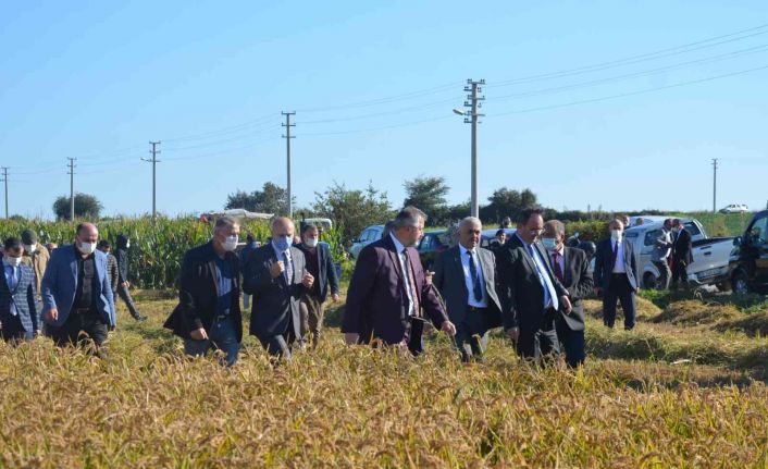 Bafra Ovası’nda “Damla Sulama Sistemi ile Çeltik Yetiştiriciliğine Çeşit Performansları Hasat Günü”