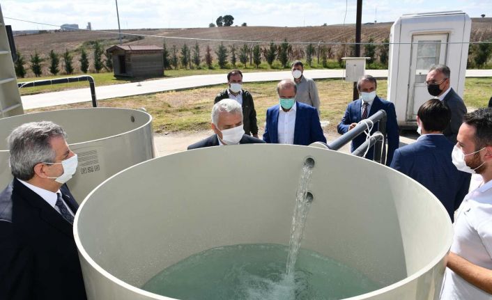 Bakan Yardımcısı Büyükdede, Tekirdağ’da