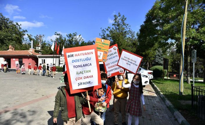 Barınak kapılarını hayvanseverlere açtı