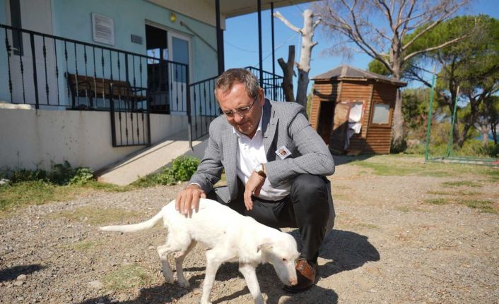 Başkan Ergin, “Satın alma sahiplen”