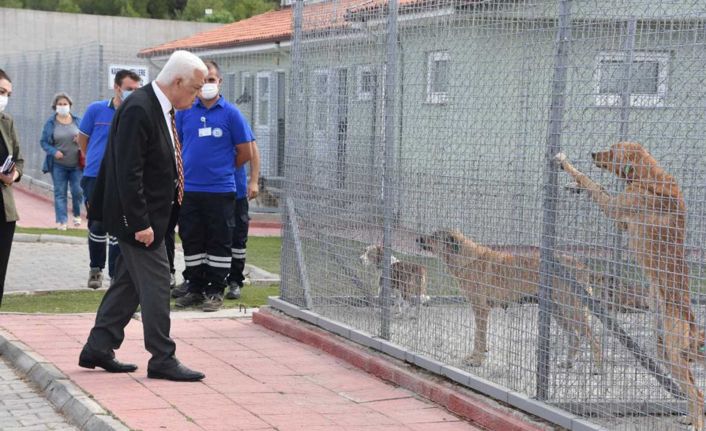 Başkan Gürün Geçici Hayvan Bakımevini ziyaret etti