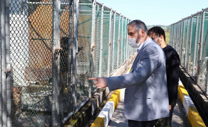 Başkan Hamit Kılıç: “240 can dostunu sahiplendirdik”